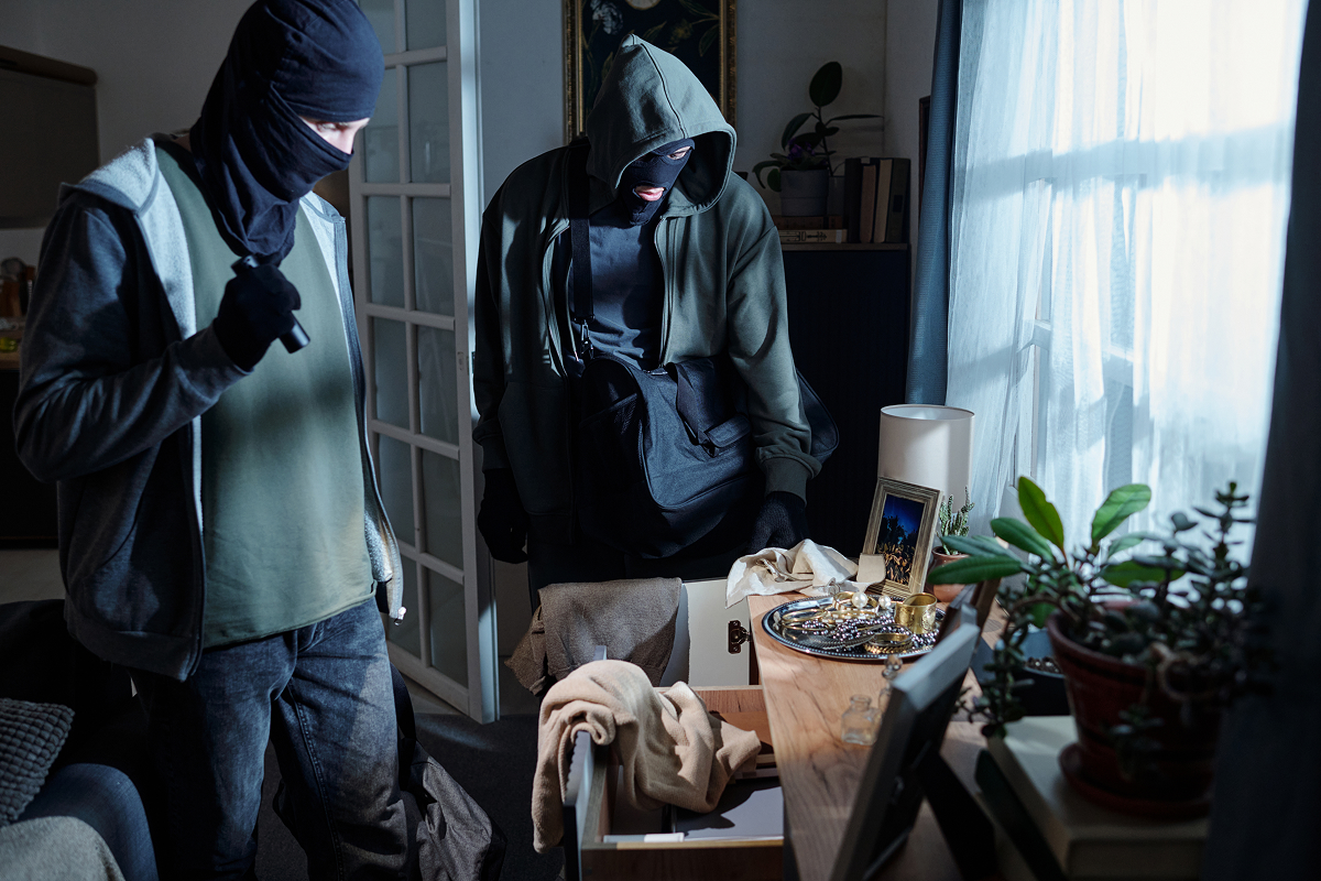 Men robbing a home